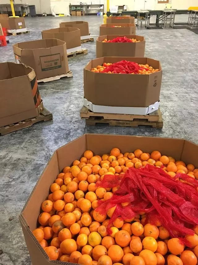 Alameda County Community Food Bank