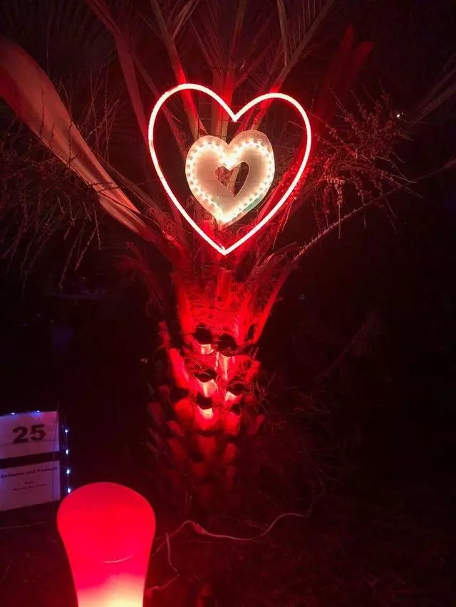 Autumn Lights Festival