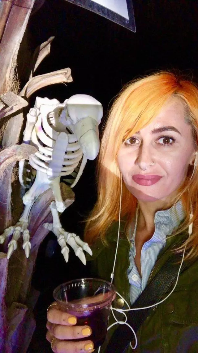 Autumn Lights Festival