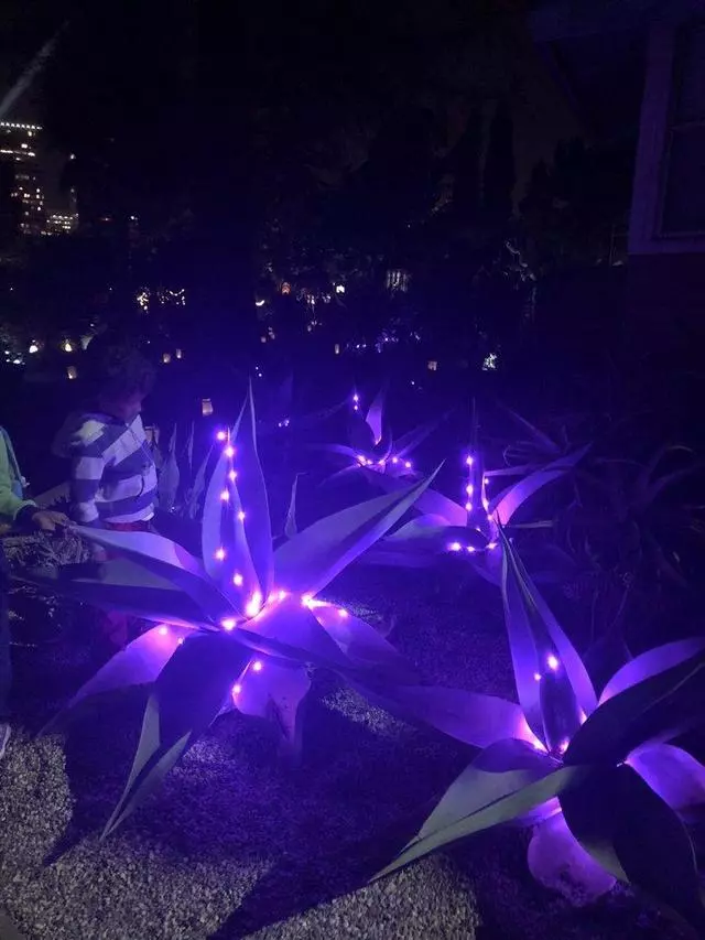 Autumn Lights Festival