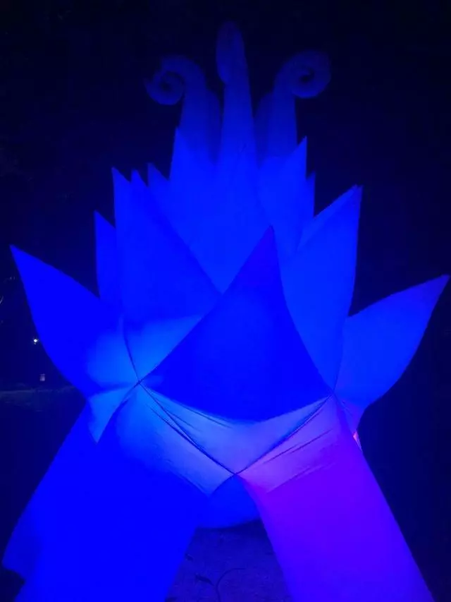 Autumn Lights Festival