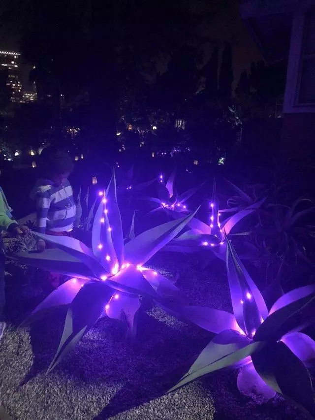 Autumn Lights Festival
