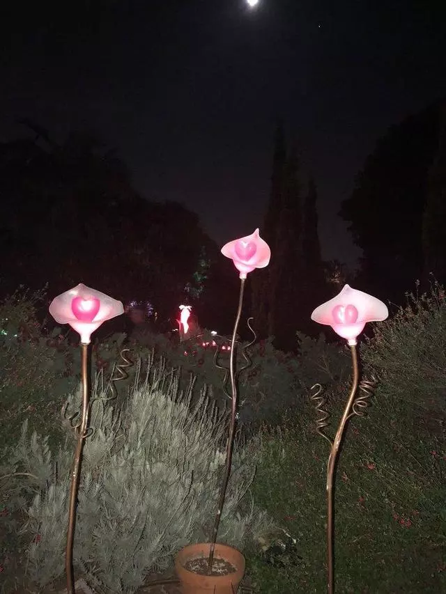 Autumn Lights Festival