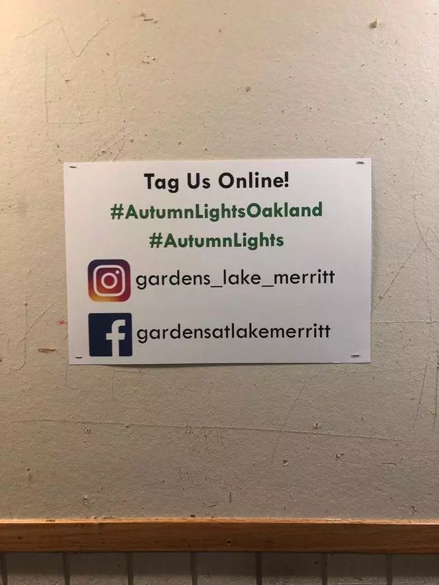 Autumn Lights Festival