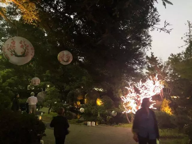 Autumn Lights Festival