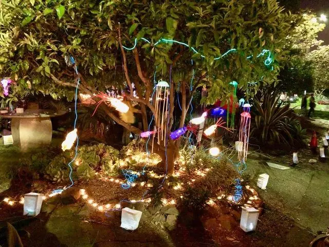 Autumn Lights Festival