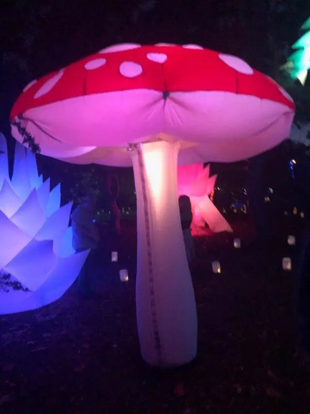 Autumn Lights Festival