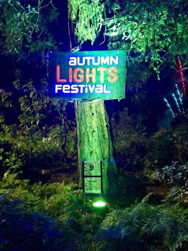 Autumn Lights Festival