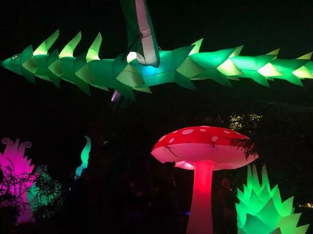 Autumn Lights Festival