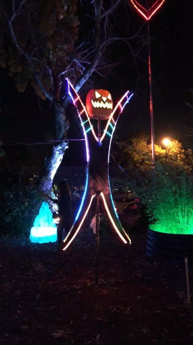 Autumn Lights Festival