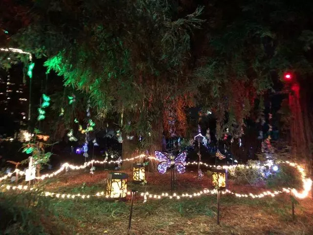Autumn Lights Festival