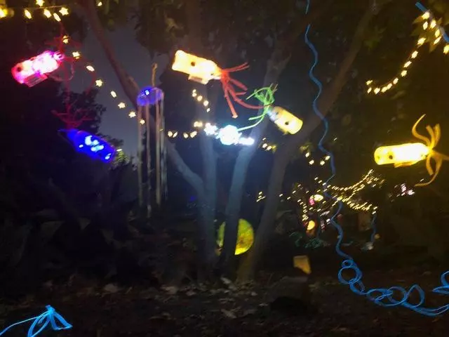 Autumn Lights Festival