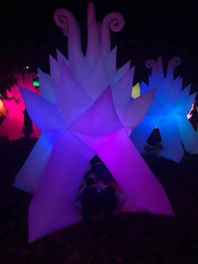 Autumn Lights Festival
