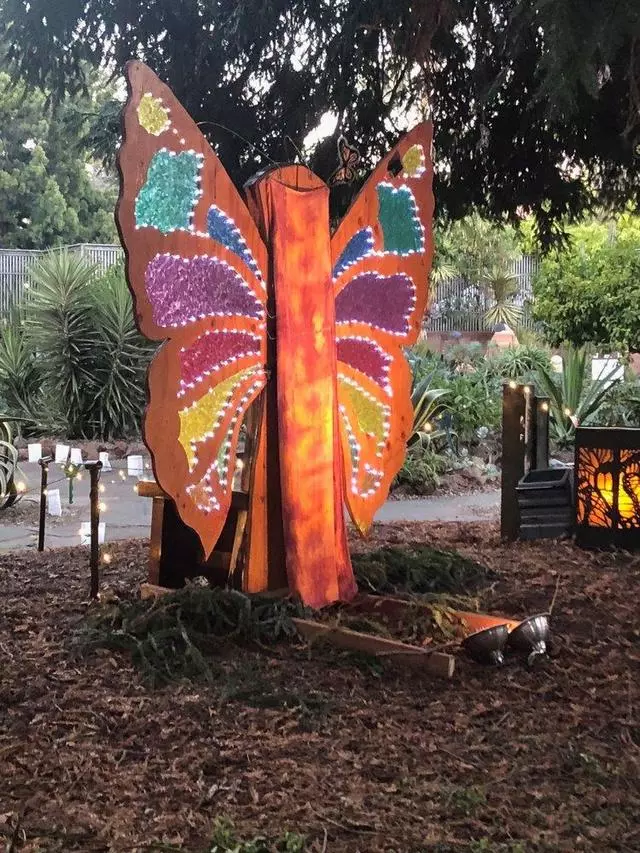 Autumn Lights Festival
