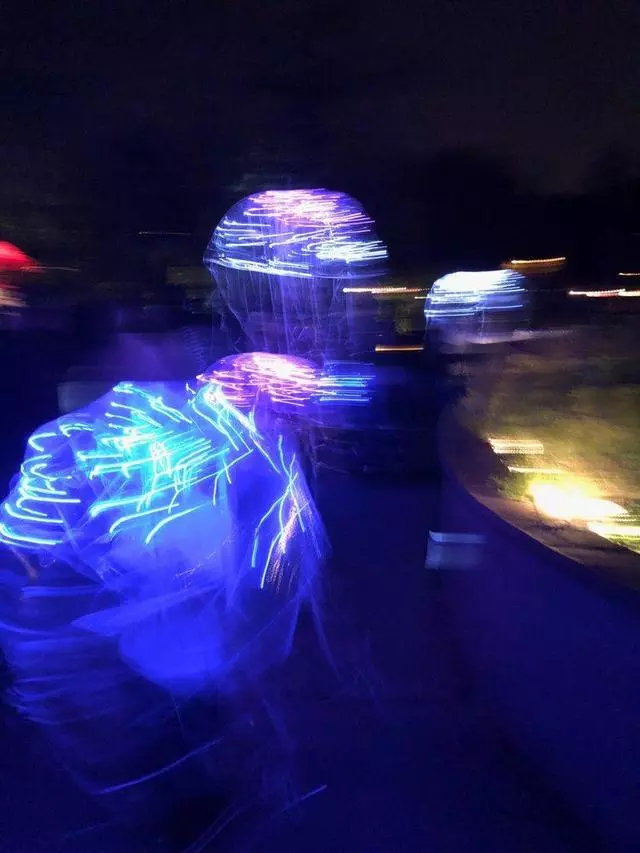 Autumn Lights Festival