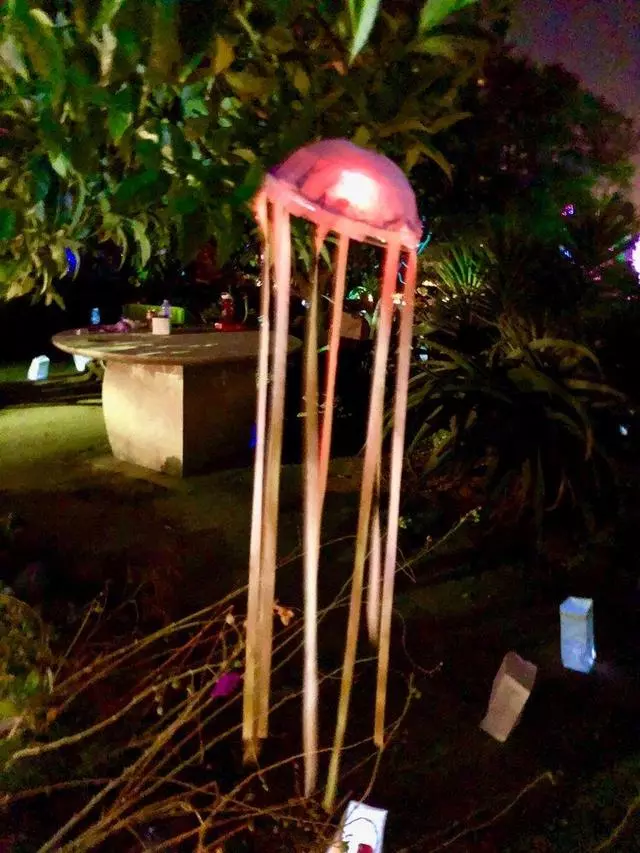 Autumn Lights Festival