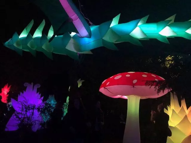 Autumn Lights Festival
