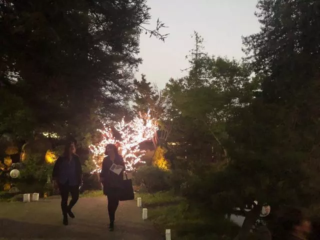 Autumn Lights Festival