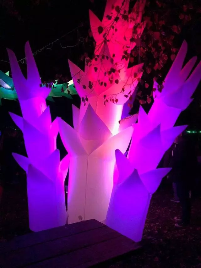 Autumn Lights Festival