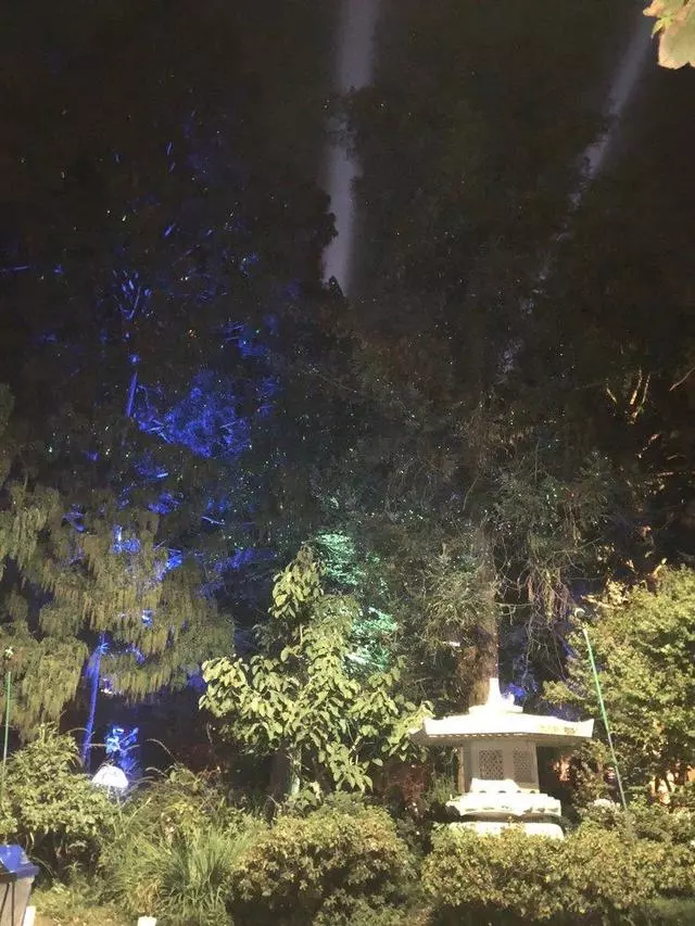 Autumn Lights Festival