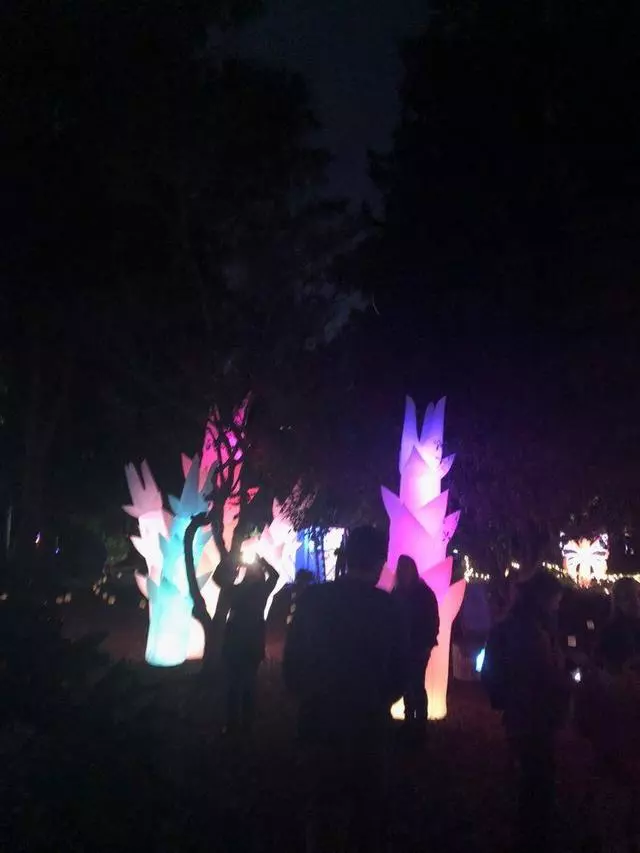 Autumn Lights Festival
