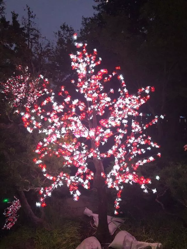 Autumn Lights Festival