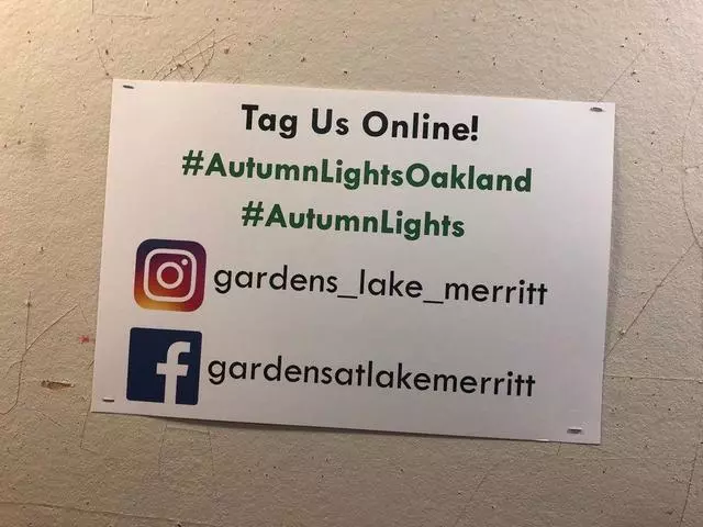 Autumn Lights Festival