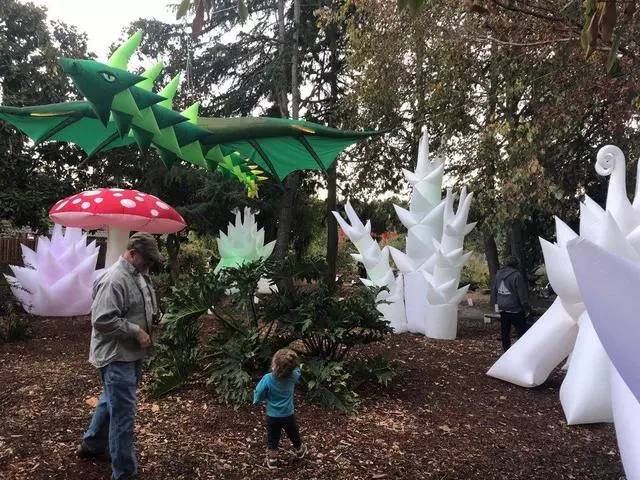 Autumn Lights Festival