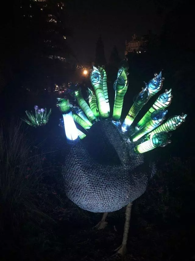 Autumn Lights Festival