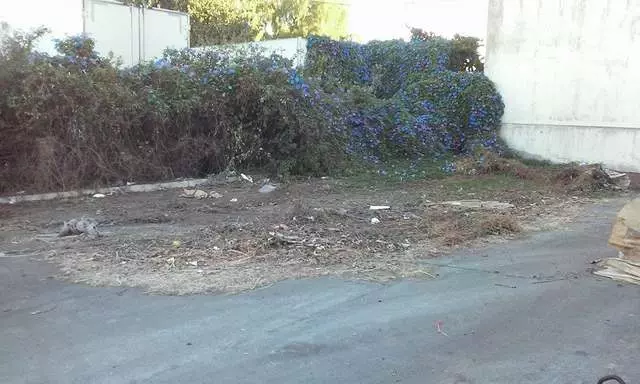Alameda County Bin Cleaning Service