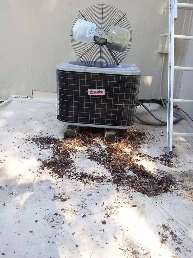 Alameda County Bin Cleaning Service
