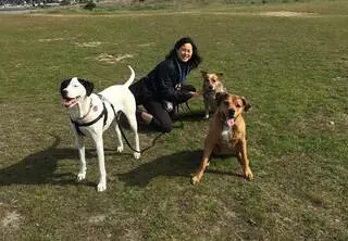 Mutts Have Fun: Training You and Your Dog