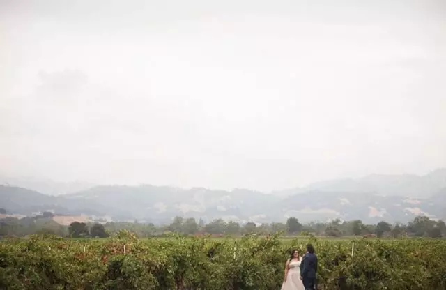 Abby Wilcox Weddings