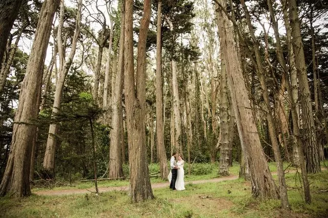 Abby Wilcox Weddings