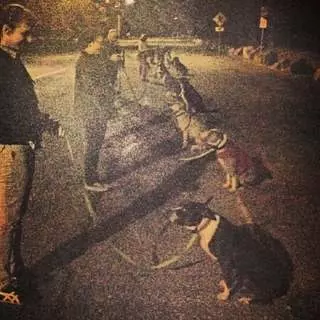 SFC Dogs