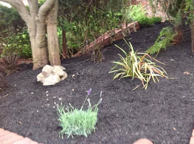 Andres’ Garden Services