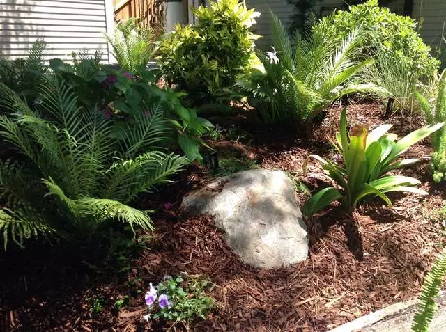 Andres’ Garden Services