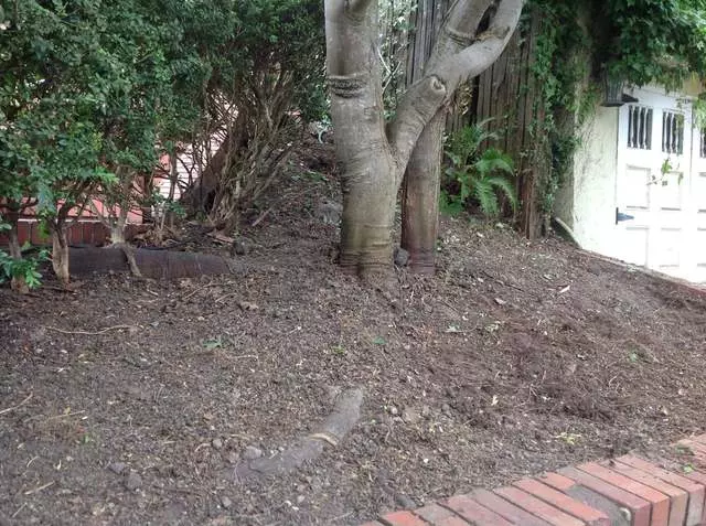 Andres’ Garden Services