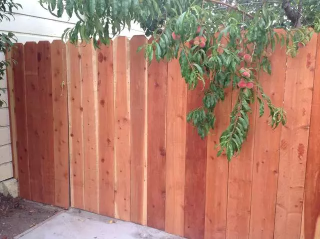 Andres’ Garden Services