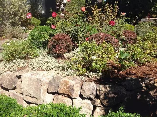 Andres’ Garden Services