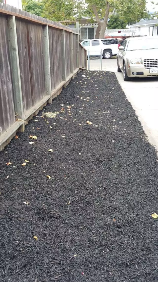Andres’ Garden Services