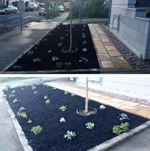 Andres’ Garden Services