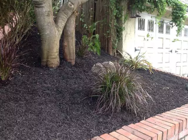 Andres’ Garden Services