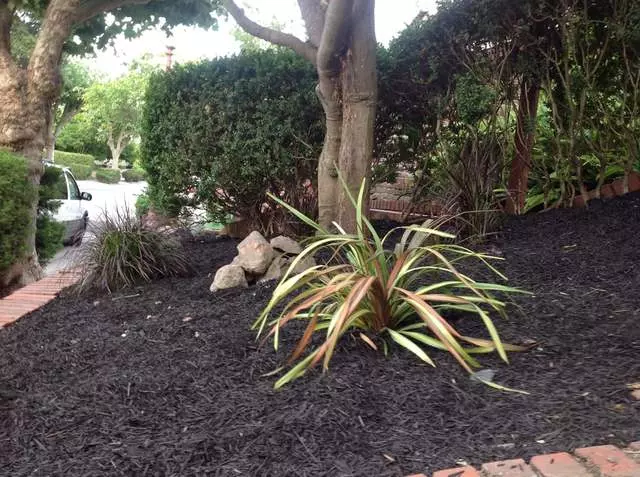Andres’ Garden Services