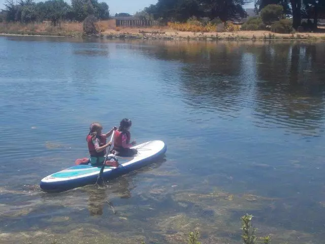 Avid4 Adventure - Oakland