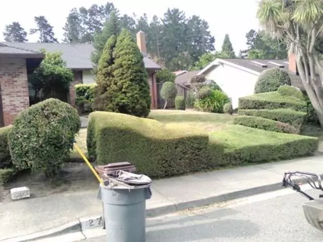Alvarez Brothers Gardening Service