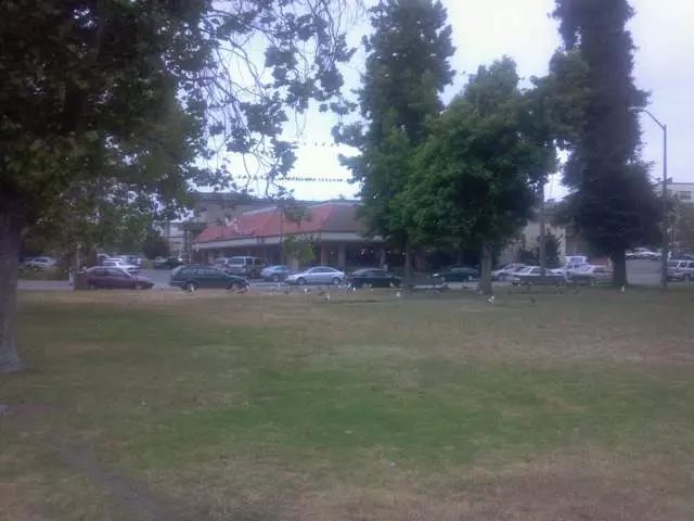 Athol Plaza Park