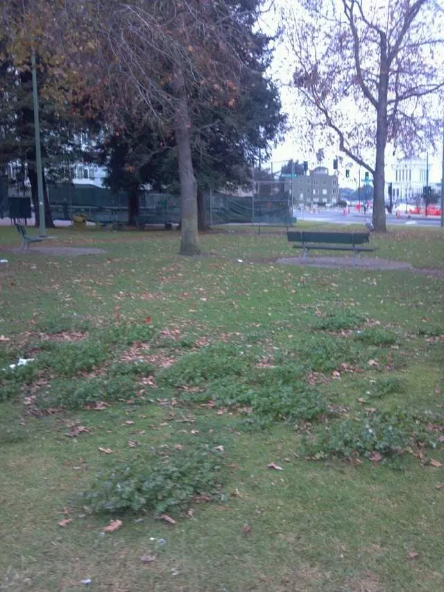 Athol Plaza Park