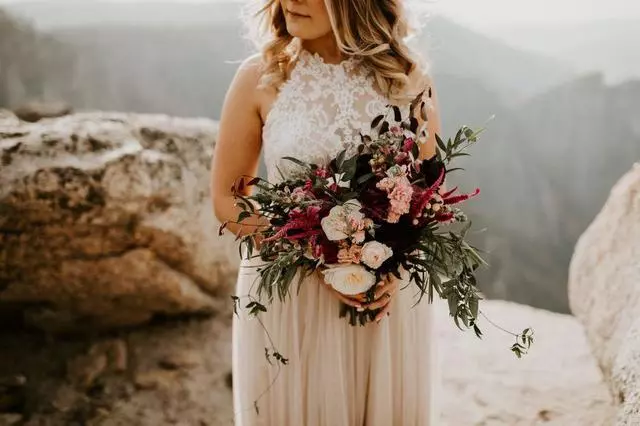 Anne Ventresco