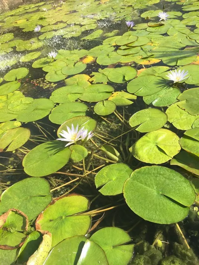 Transformative Healing Arts